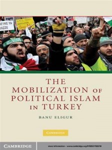 Baixar Mobilization of political islam in turkey, the pdf, epub, eBook
