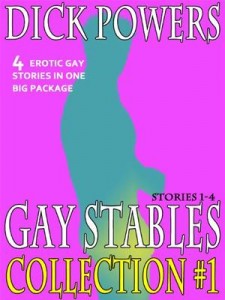 Baixar Gay stables: the collection #1 (stories 1-4) pdf, epub, eBook