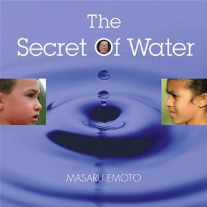 Baixar Secret of water, the pdf, epub, eBook
