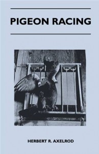 Baixar Pigeon racing pdf, epub, eBook