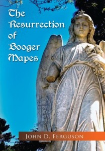 Baixar Resurrection of booger mapes, the pdf, epub, eBook