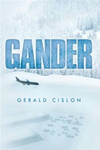 Baixar Gander pdf, epub, eBook