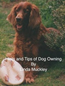 Baixar Hints and tips of dog owning pdf, epub, eBook