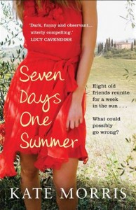 Baixar Seven days one summer pdf, epub, eBook
