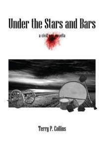 Baixar Under the stars and bars pdf, epub, eBook