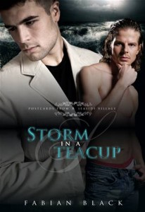 Baixar Storm in a teacup pdf, epub, eBook