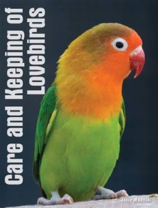 Baixar Your lovebird pdf, epub, eBook
