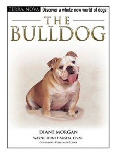Baixar Bulldog, the pdf, epub, eBook