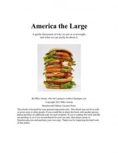 Baixar America the large pdf, epub, eBook