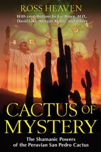 Baixar Cactus of mystery pdf, epub, eBook