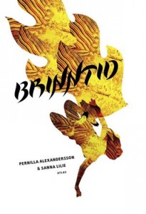 Baixar Brinntid pdf, epub, eBook