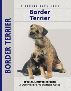 Baixar Border terrier pdf, epub, eBook
