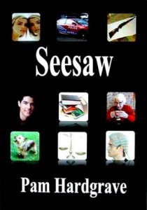 Baixar Seesaw pdf, epub, eBook