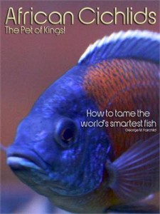 Baixar African cichlids the pet of kings!: how to tame pdf, epub, eBook