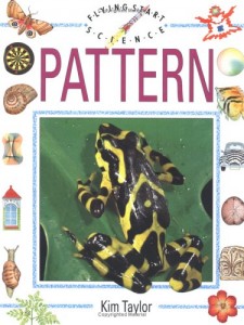 Baixar Flying start science, pattern pdf, epub, eBook