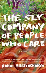 Baixar Sly company of people who care, the pdf, epub, eBook
