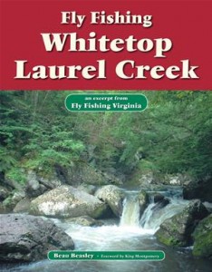 Baixar Fly fishing whitetop laurel creek pdf, epub, eBook
