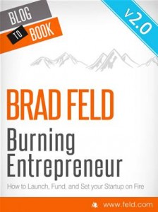 Baixar Brad feld’s burning entrepreneur – how to pdf, epub, eBook