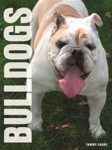 Baixar Your bulldog pdf, epub, eBook