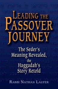 Baixar Leading the passover journey: the seders meaning pdf, epub, eBook
