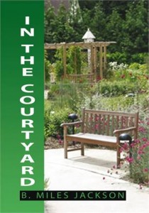 Baixar In the courtyard pdf, epub, eBook