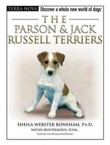 Baixar Parson russell terrier, the pdf, epub, eBook