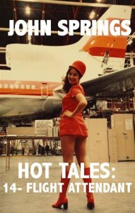 Baixar Hot tales: 14-flight attendant pdf, epub, eBook