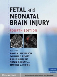 Baixar Fetal and neonatal brain injury pdf, epub, eBook