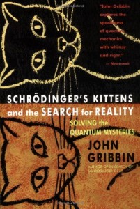 Baixar Schrodinger’s kittens and the search for reality – pdf, epub, eBook