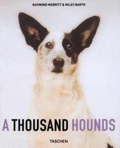 Baixar Thousand hounds, a pdf, epub, eBook