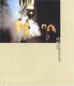 Baixar Joel meyerowitz pdf, epub, eBook