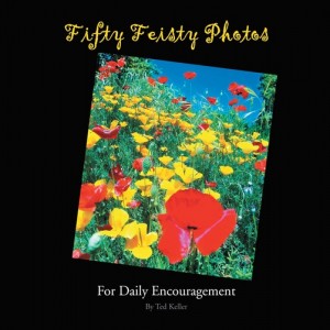 Baixar Fifty feisty photos pdf, epub, eBook