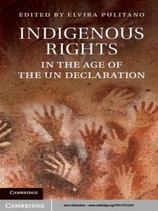 Baixar Indigenous rights in the age of the un pdf, epub, eBook