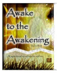Baixar Awake to the awakening pdf, epub, eBook