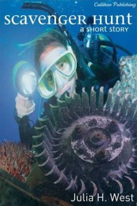 Baixar Scavenger hunt pdf, epub, eBook