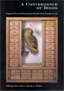Baixar Convergence of birds, a pdf, epub, eBook