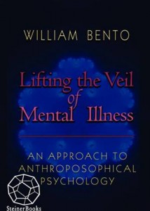 Baixar Lifting the veil of mental illness pdf, epub, eBook