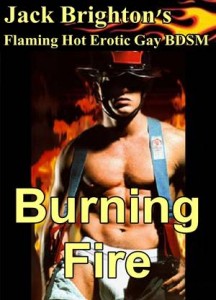 Baixar Burning fire pdf, epub, eBook