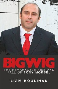 Baixar Bigwig: the remarkable rise and fall of tony pdf, epub, eBook