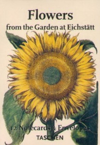 Baixar Flowers – notecards & envelopes pdf, epub, eBook