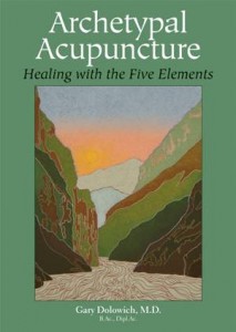 Baixar Archetypal acupuncture pdf, epub, eBook