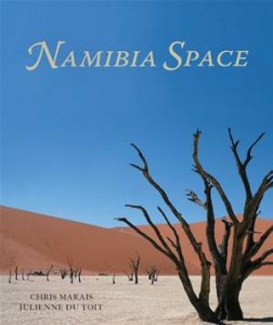 Baixar Namibia space pdf, epub, eBook