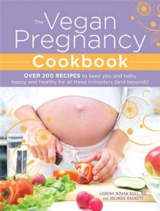 Baixar Vegan pregnancy cookbook: over 200 recipes pdf, epub, eBook