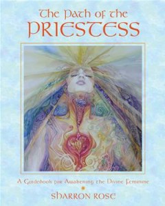 Baixar Path of the priestess: a guidebook for pdf, epub, eBook