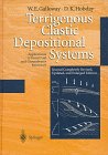 Baixar Terrigenous clastic depositional systems pdf, epub, eBook