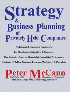 Baixar Strategy & business planning of privately held pdf, epub, eBook