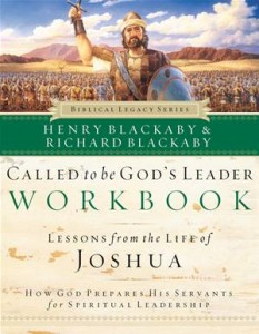 Baixar Called to be god’s leader workbook pdf, epub, eBook