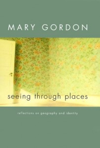 Baixar Seeing through places – reflections on geography a pdf, epub, eBook
