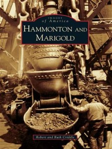 Baixar Hammonton and marigold pdf, epub, eBook