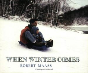 Baixar When winter comes pdf, epub, eBook